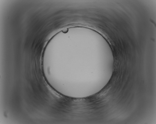 X0000098111535200804251416