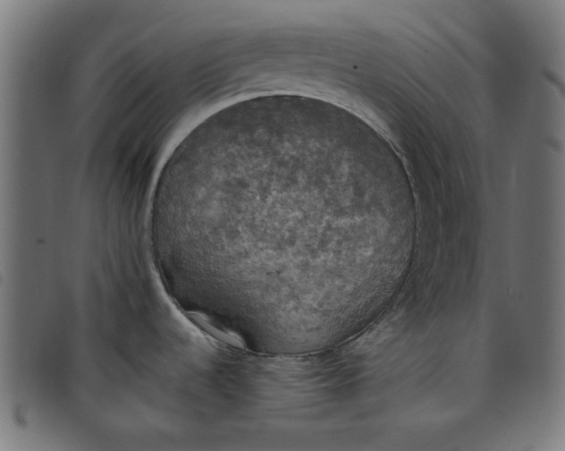 X0000098111536200804251416