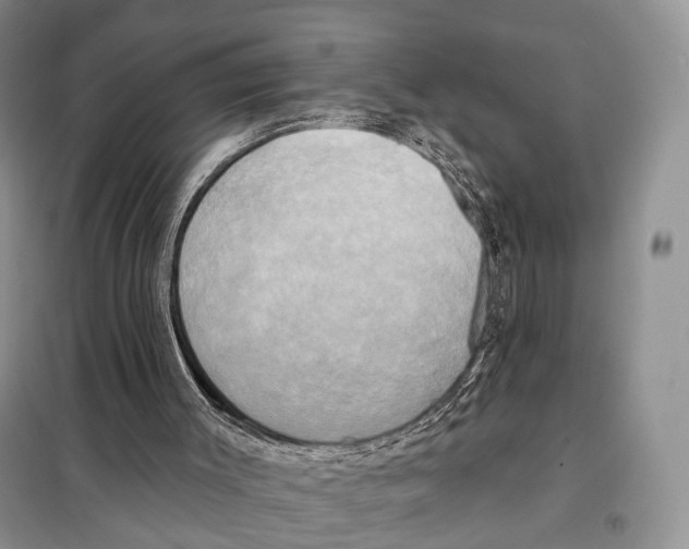 X0000098110003200805021144