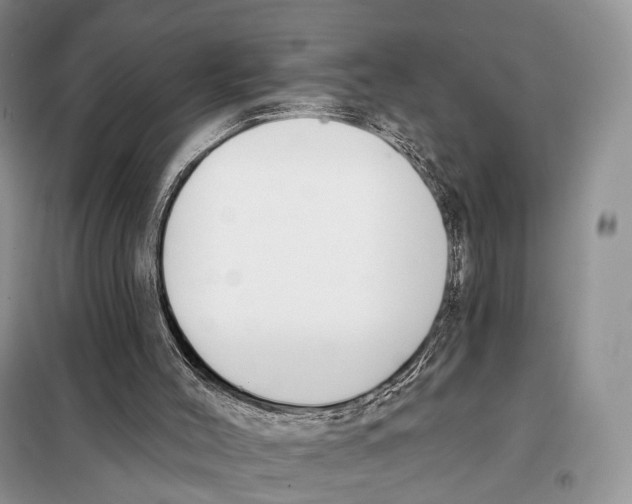 X0000098110004200805021144