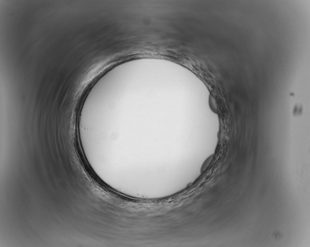 X0000098110005200805021144