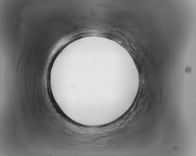 X0000098110006200805021144