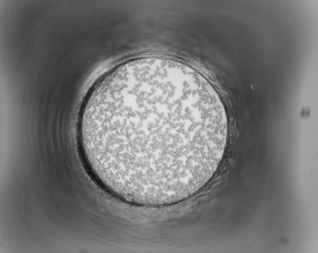 X0000098110007200805021144