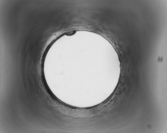 X0000098110008200805021144