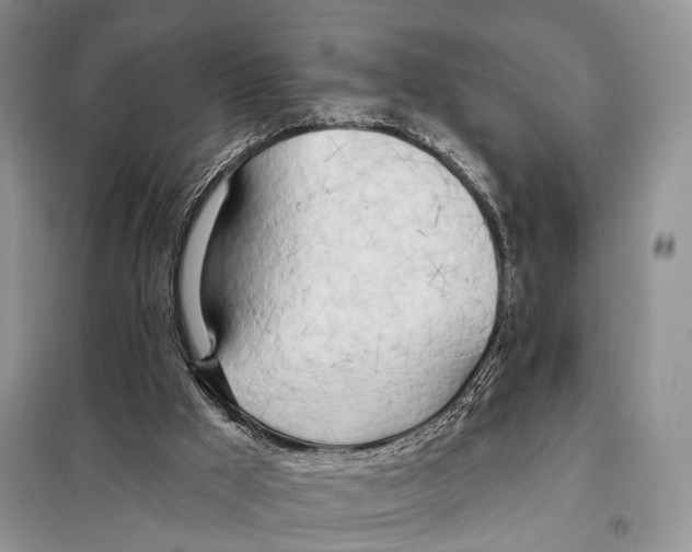 X0000098110009200805021144