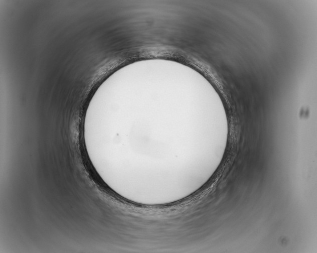 X0000098110010200805021144