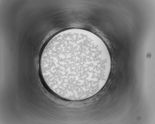 X0000098110011200805021144