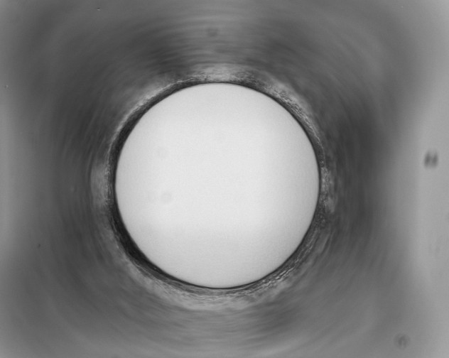 X0000098110012200805021144