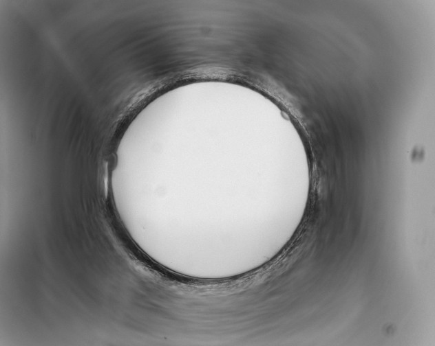 X0000098110013200805021144