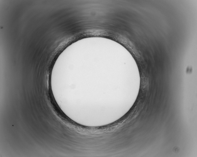 X0000098110014200805021143