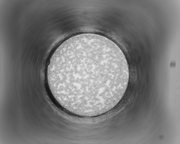 X0000098110015200805021143