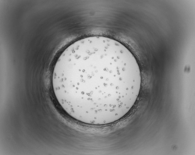 X0000098110016200805021143