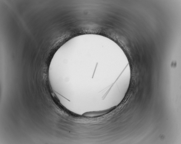 X0000098110017200805021143