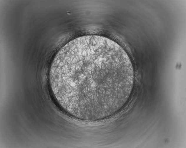 X0000098110018200805021143