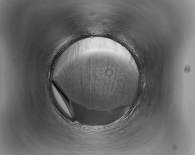 X0000098110019200805021143