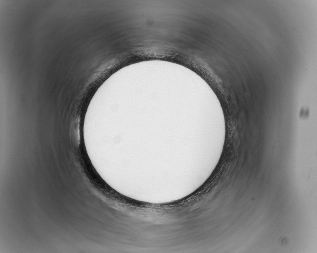 X0000098110020200805021143