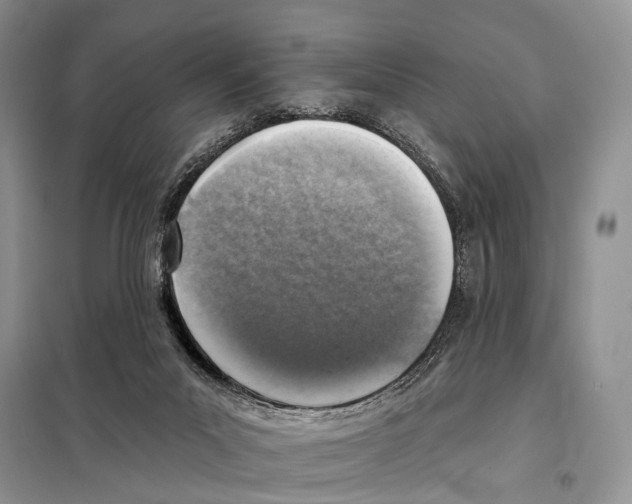 X0000098110023200805021143