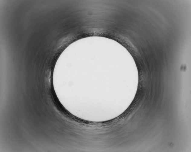 X0000098110024200805021143