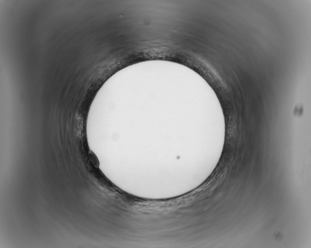 X0000098110025200805021143