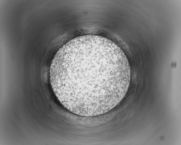 X0000098110026200805021143