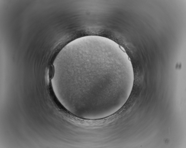 X0000098110027200805021143