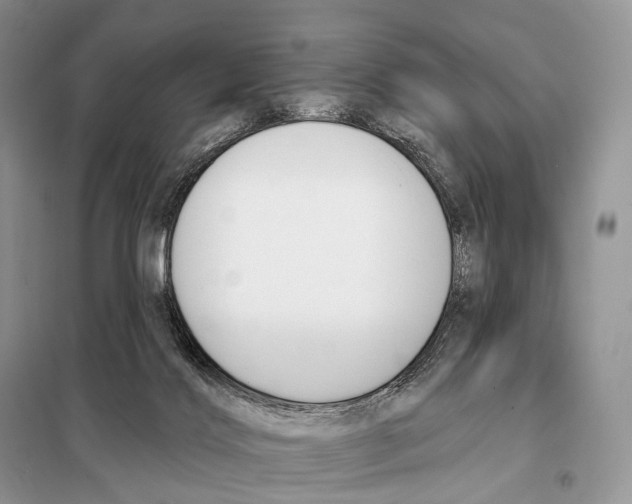 X0000098110028200805021143