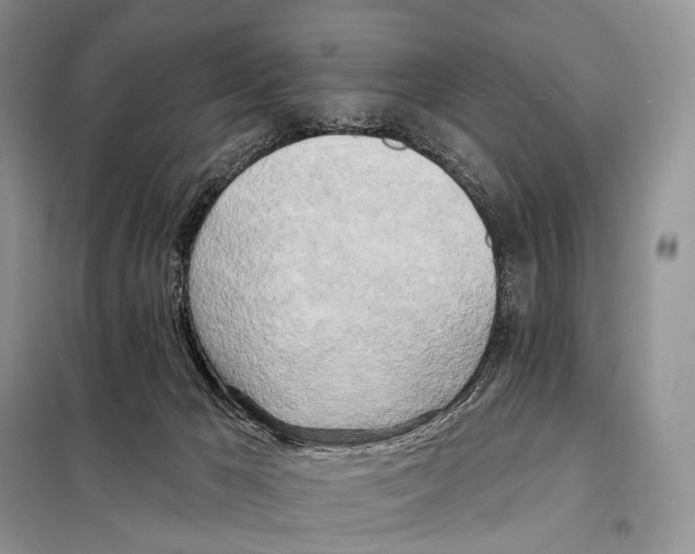 X0000098110029200805021143