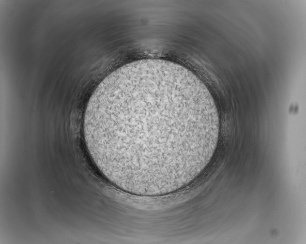 X0000098110030200805021143