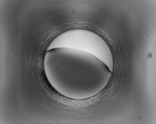 X0000098110031200805021143