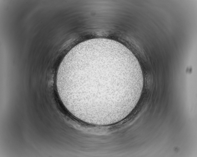 X0000098110032200805021143