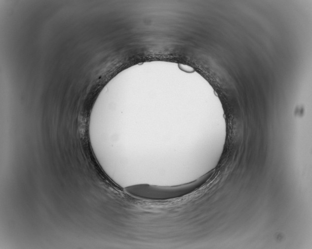 X0000098110033200805021143