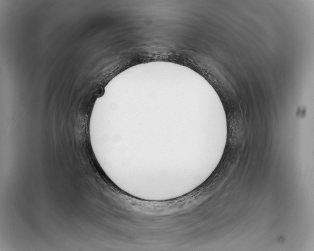 X0000098110034200805021143