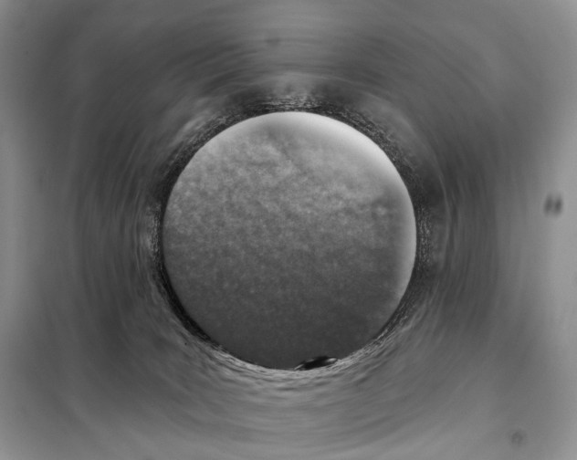 X0000098110035200805021143