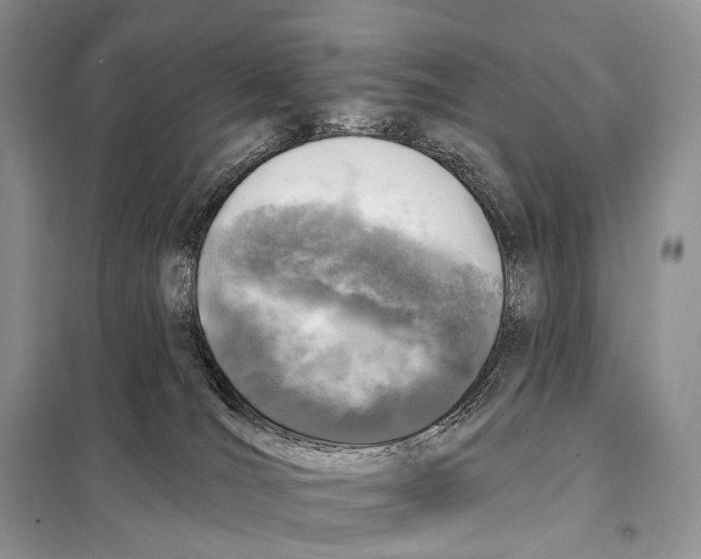 X0000098110036200805021143