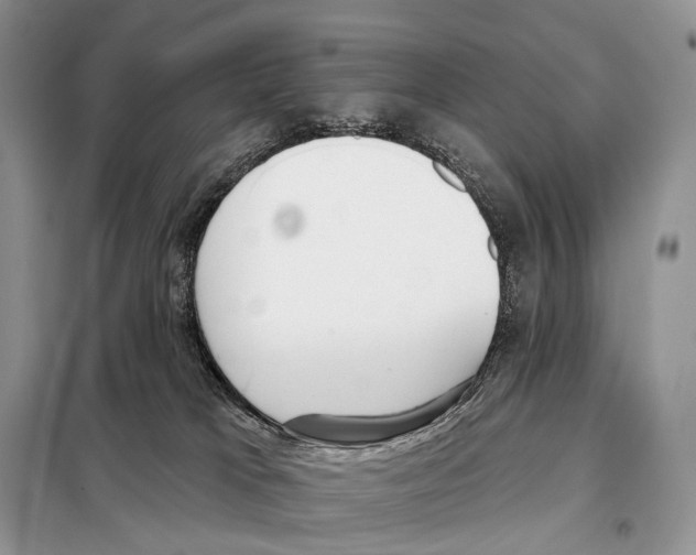 X0000098110037200805021143