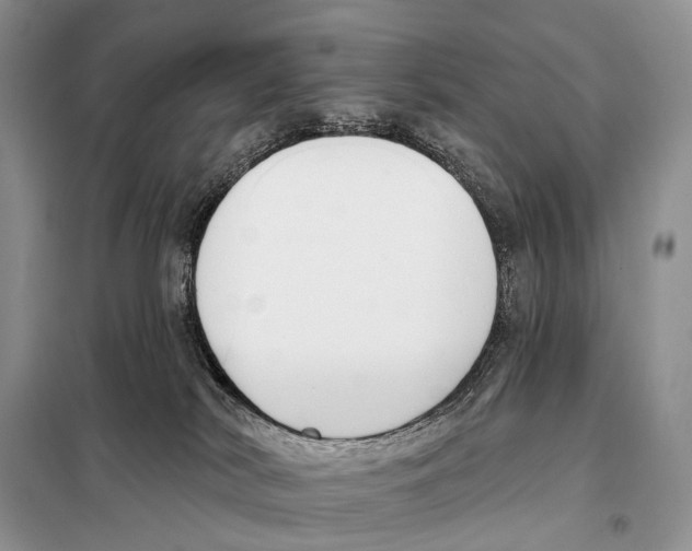 X0000098110038200805021143