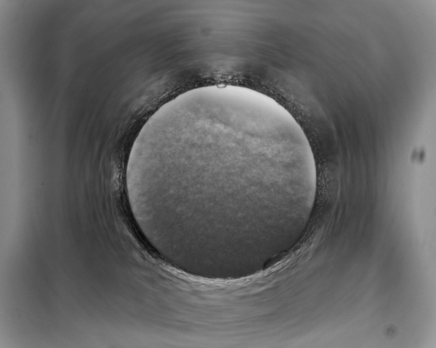 X0000098110039200805021143