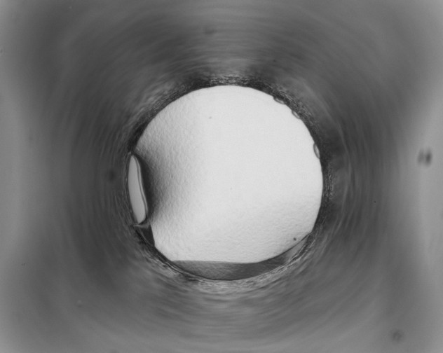 X0000098110041200805021143