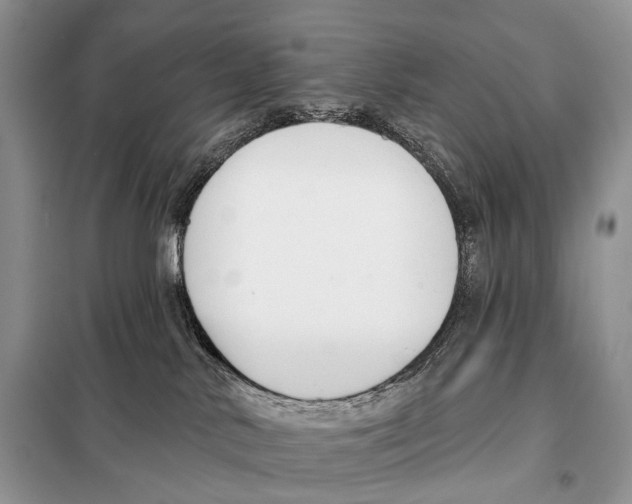 X0000098110042200805021143