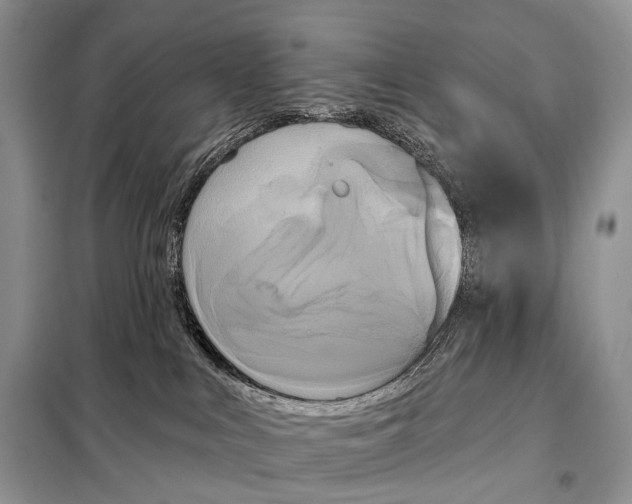 X0000098110043200805021143