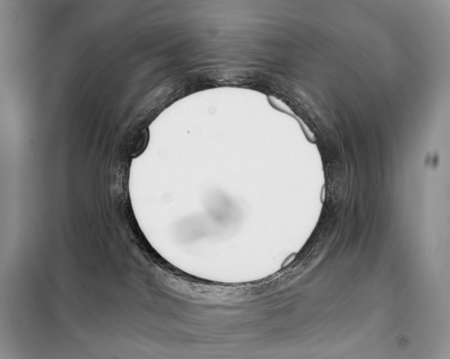 X0000098110044200805021143