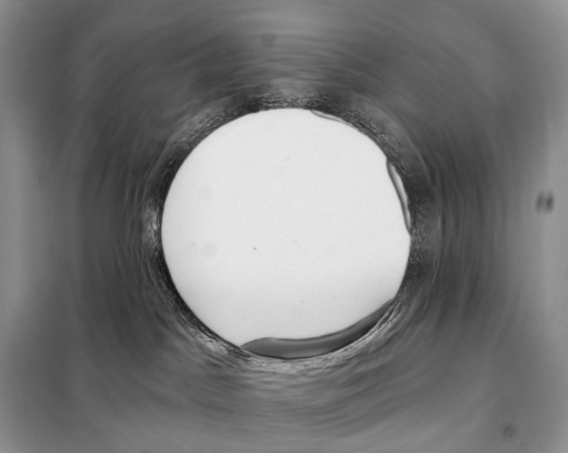 X0000098110045200805021143