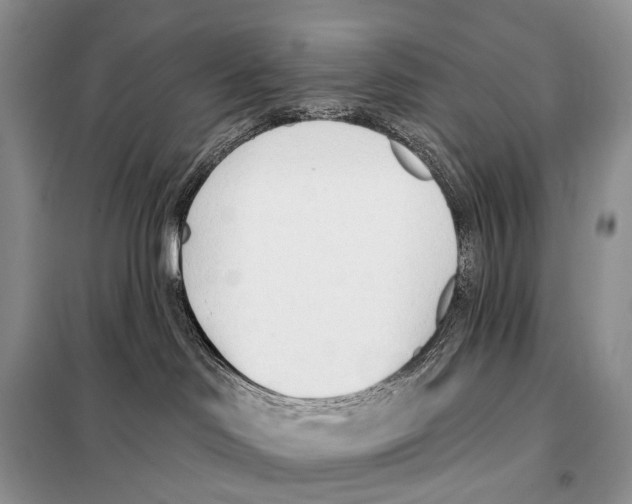 X0000098110046200805021143