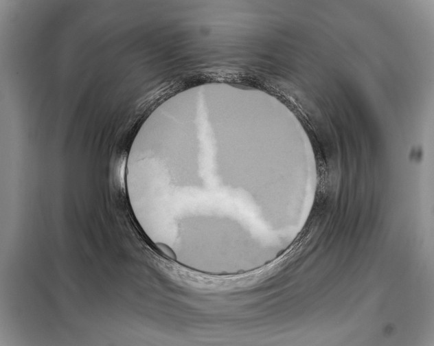 X0000098110047200805021143