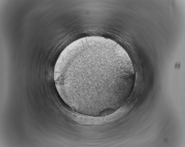 X0000098110048200805021143