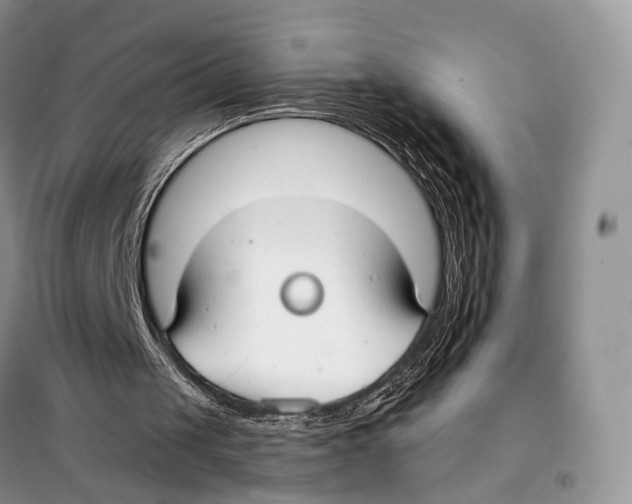 X0000098110049200805021142