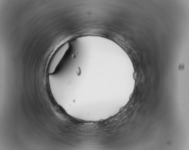 X0000098110050200805021142