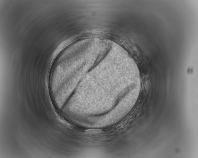 X0000098110051200805021142