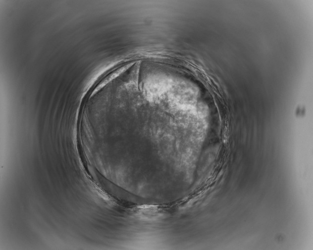 X0000098110052200805021142