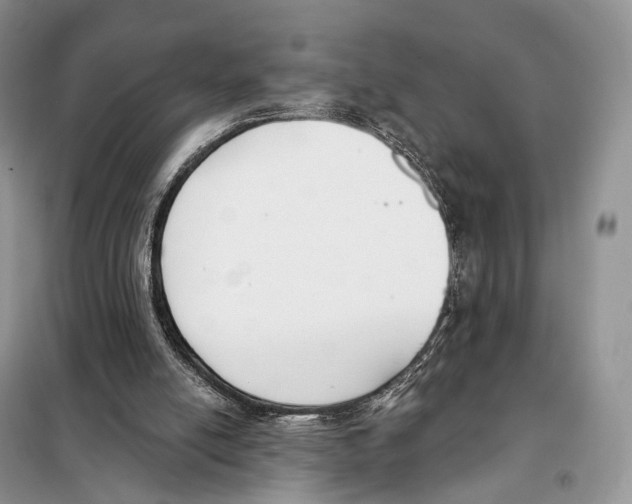 X0000098110054200805021142